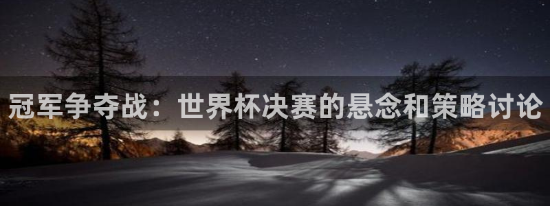 世界杯预选赛赛程：冠军争夺战：世界杯决赛的悬念和策略讨论