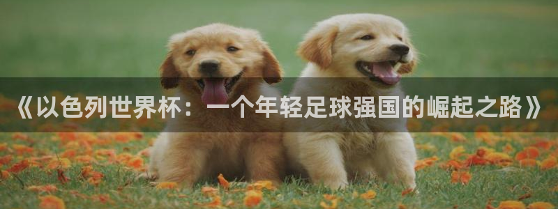 世界杯预赛赛程：《以色列世界杯：一个年轻足球强国的崛起之路》