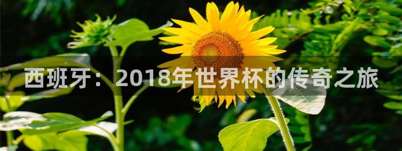 世预赛欧洲赛程表：西班牙：2018年世界杯的传奇之旅