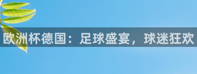 足球世界杯：欧洲杯德国：足球盛宴，球迷狂欢