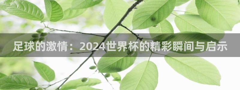 世界杯 赛程：足球的激情：2024世界杯的精彩瞬间与启示