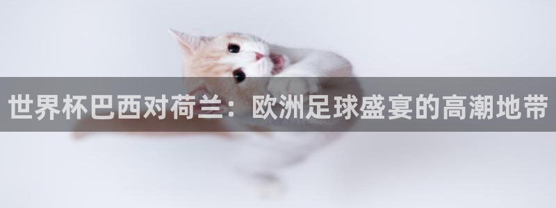 2026年世界杯直播平台：世界杯巴西对荷兰：欧洲足球盛宴的高潮地带