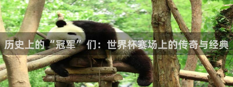 世界杯赛程时间表：历史上的“冠军”们：世界杯赛场上的传奇与经典