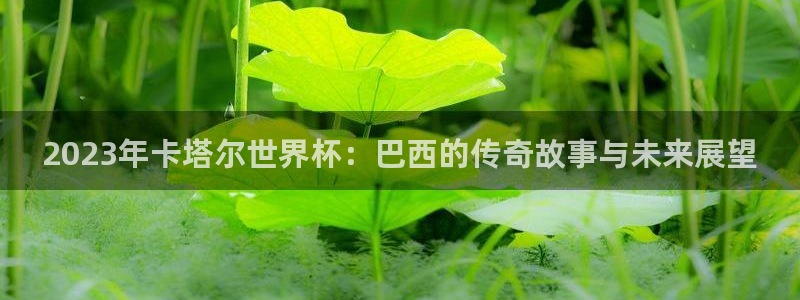2006年世界杯冠军：2023年卡塔尔世界杯：巴西的传奇故事与未来展望