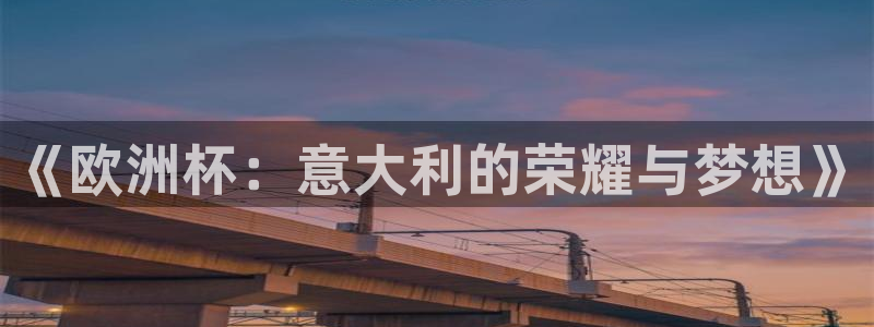 世界杯视频：《欧洲杯：意大利的荣耀与梦想》