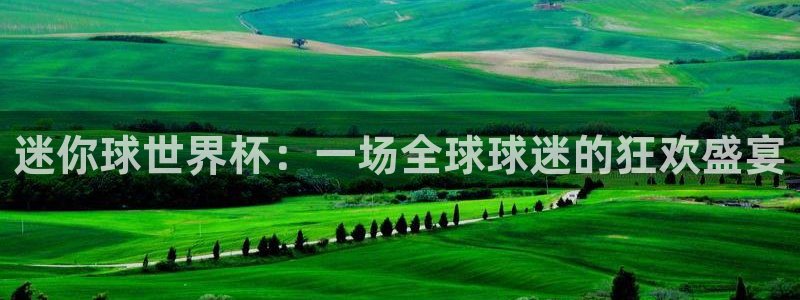 足球比分直播世界杯：迷你球世界杯：一场全球球迷的狂欢盛宴