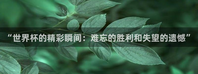 足球世界杯赛程：“世界杯的精彩瞬间：难忘的胜利和失望的遗憾”