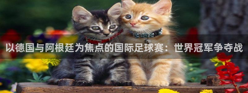 2026世界杯官网入口：以德国与阿根廷为焦点的国际足球赛：世界冠军争夺战